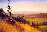 Albert Bierstadt Newbraska Wasatch Mountains oil painting artist